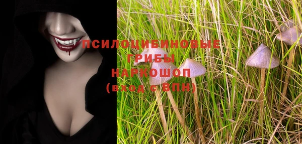 дурь Верхний Тагил