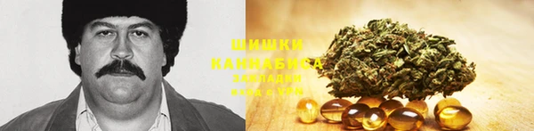 spice Володарск