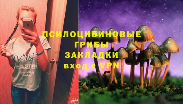 дурь Верхний Тагил